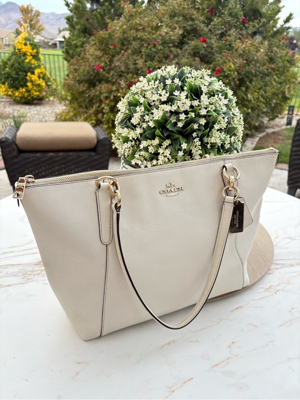 Coach Classic Leather Tote Bag in Chalk